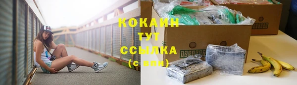 мдпв Куйбышев