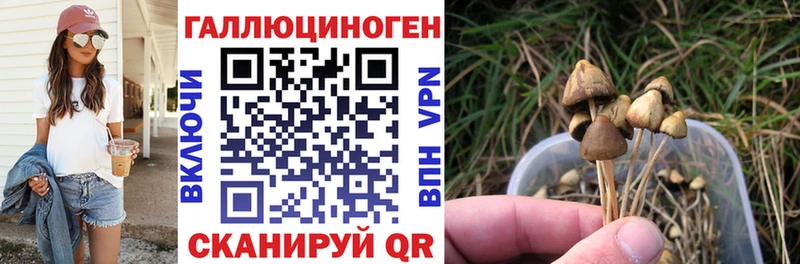 Купить закладки  Обнинск  Галлюциногенные грибы прущие грибы 
